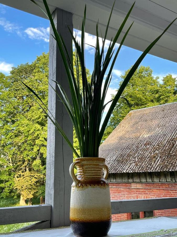 Strautmali White House In Mazirbe Villa Exteriör bild